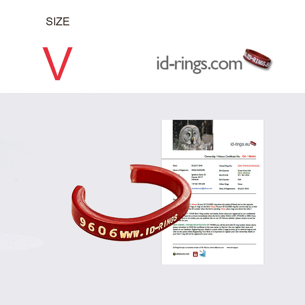 Size: V - 11.0mm - 1 x ID Split Bird Ring