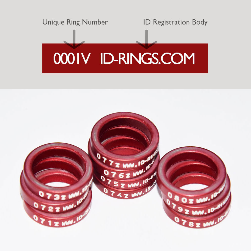 3 x Ring Registration